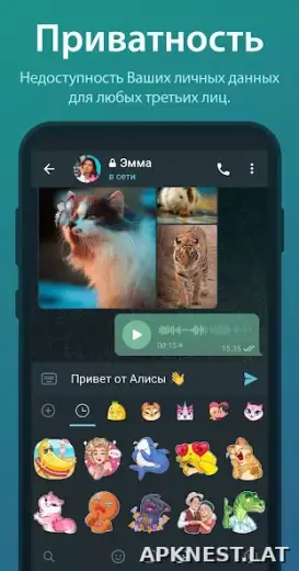 Телеграм скриншот 4